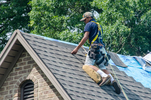 Gutter Installation and Roofing in Lanark, IL
